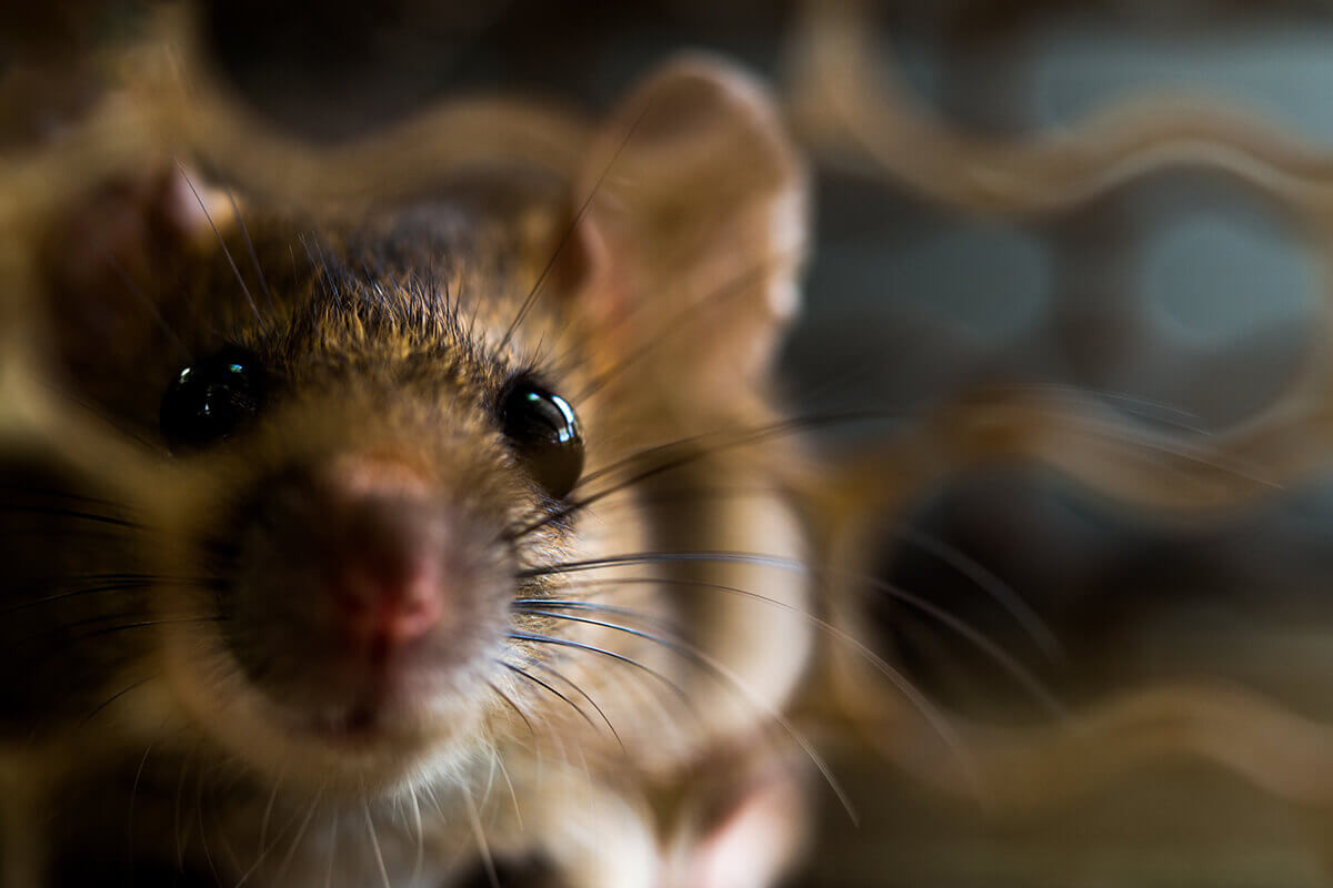 Active lifestyle supported by VitaYears supplements